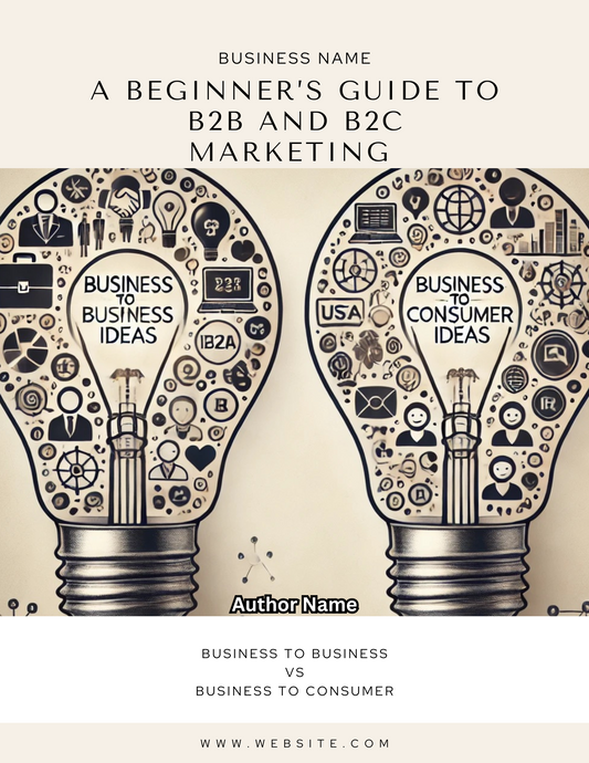 BEGINNER’S GUIDE TO B2B AND B2C EBOOK (EDITABLE)