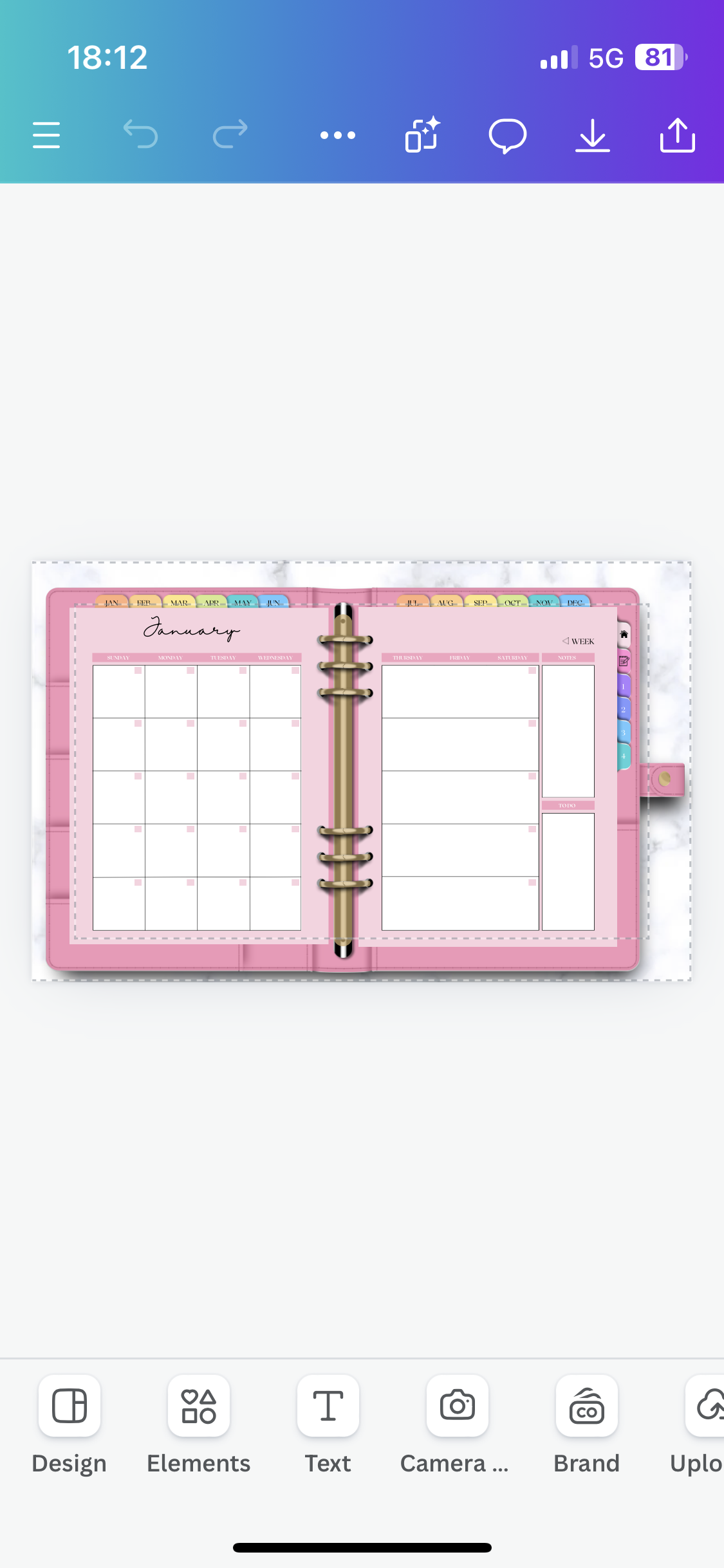 Lady Boss Digital Planner (Editable)